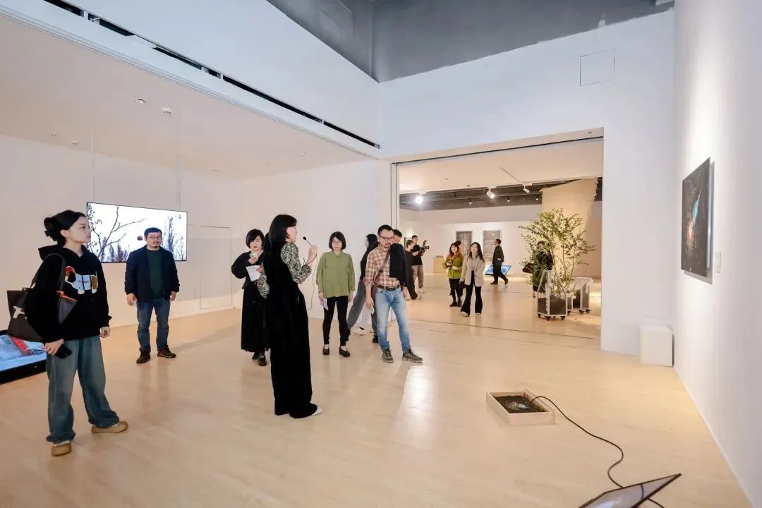 https://img10.artimg.net/public/beian/jpg/202508/9f6421aadda21e942a21927d182f9091.jpg