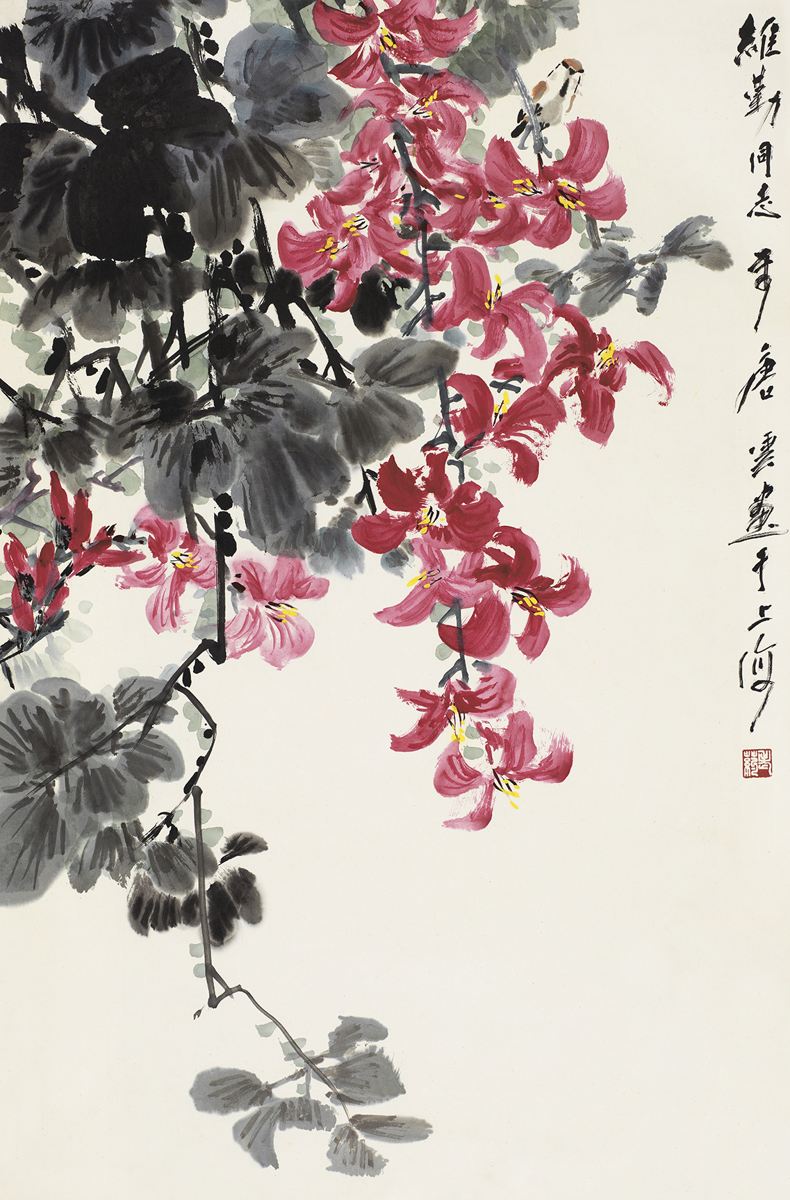 春光
