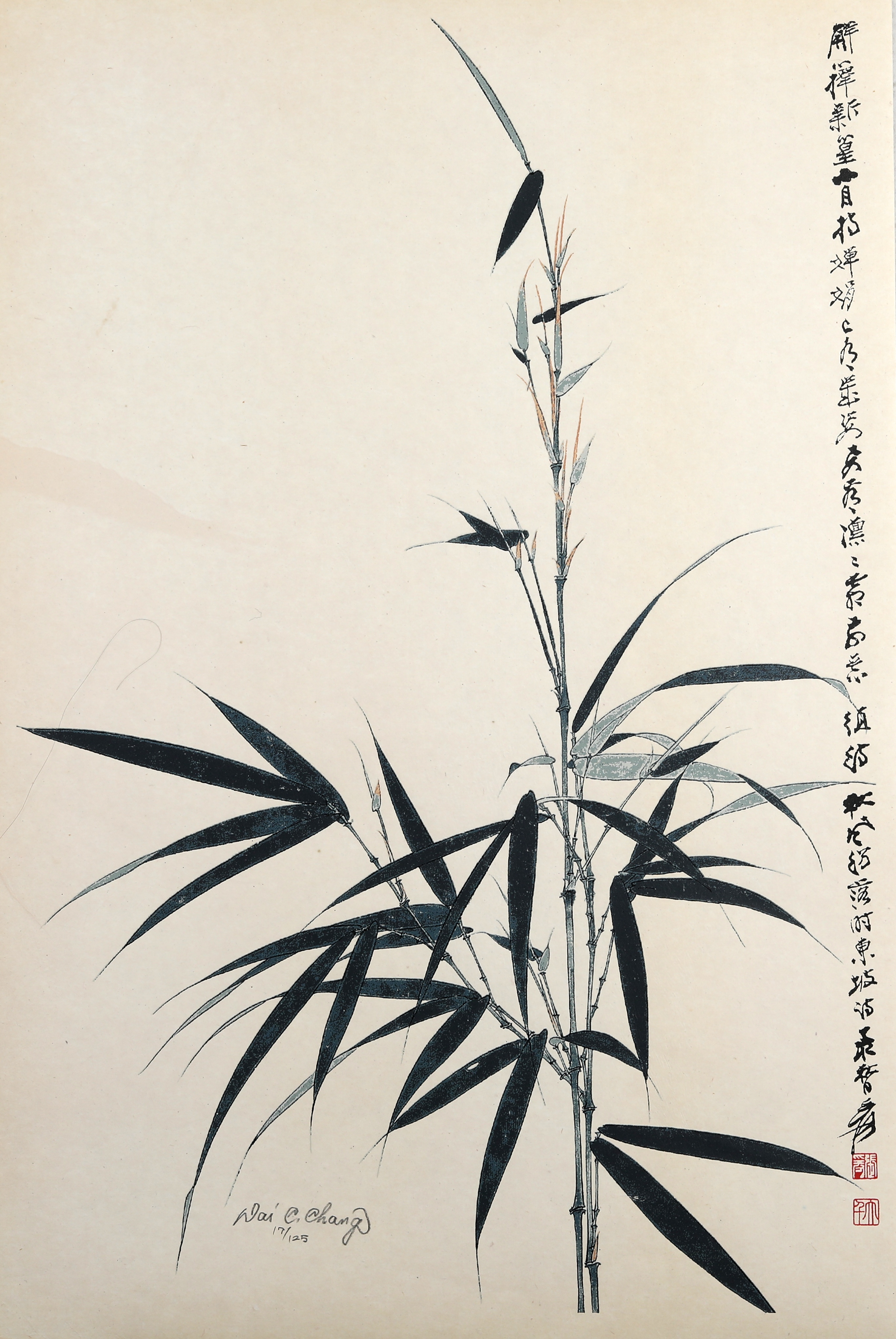 节节高17/125