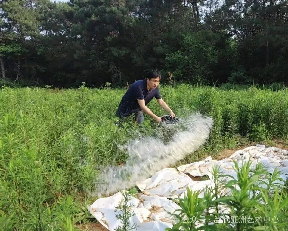 https://img10.artimg.net/public/beian/jpg/202604/c631ed2c6e5e804ae8be96b95ae35197.jpg