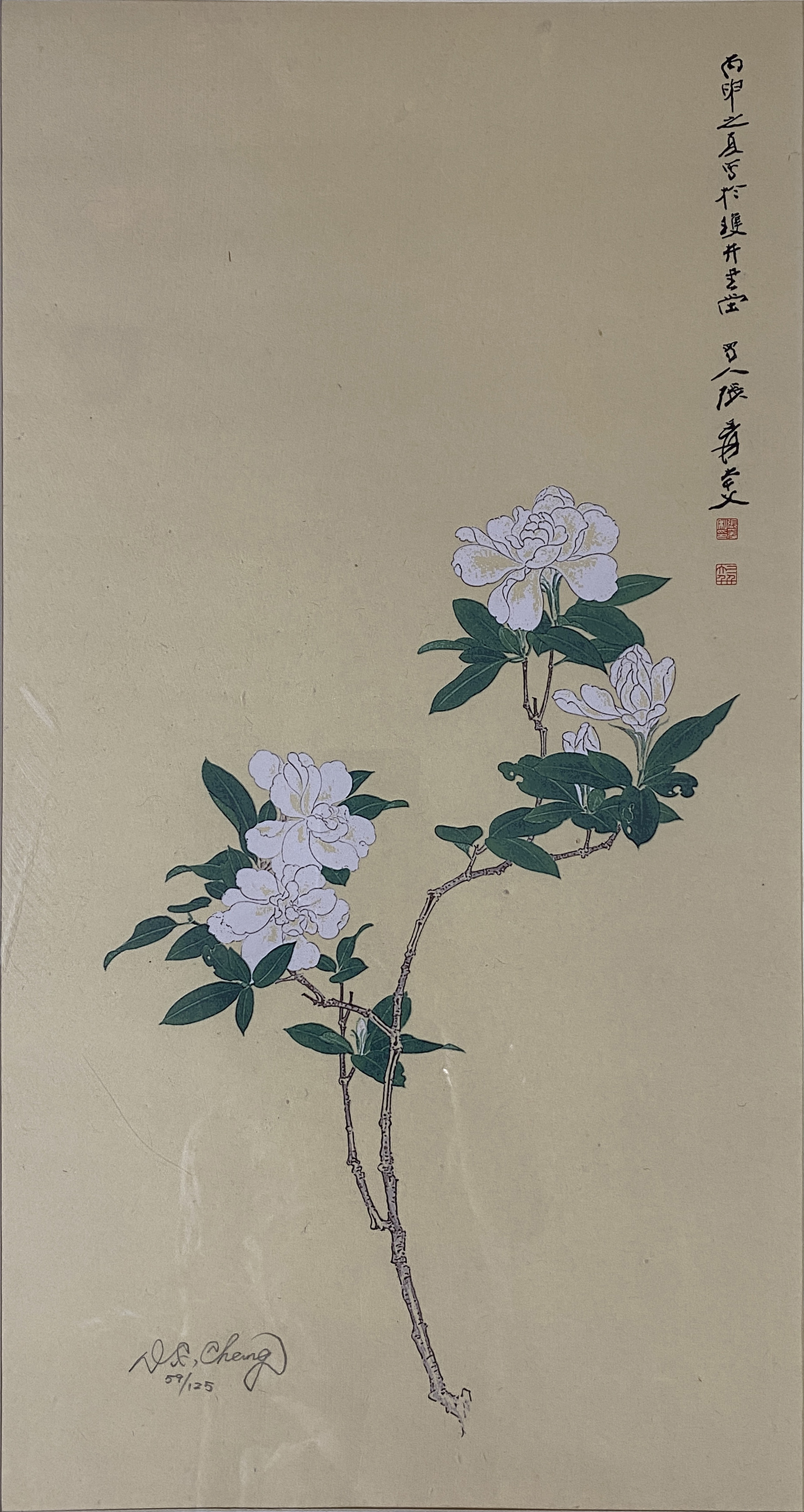 栀子花开 59