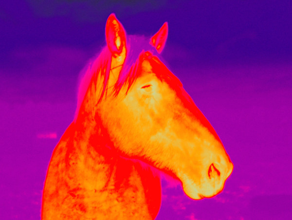 https://img10.artimg.net/public/beian/jpg/202606/188fb3e3534e94f58f3d1dfa27e4caab.jpg