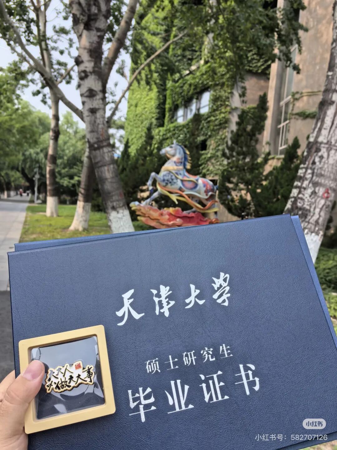 https://img10.artimg.net/public/beian/jpg/202606/98f8e3b9100e4807dd5ae5c073ca0128.jpg