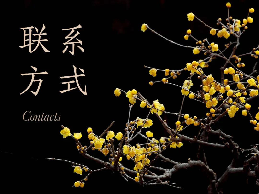 https://img10.artimg.net/public/beian/jpg/202606/cfd65a13707131eaefe40c27bb9aa65b.jpg