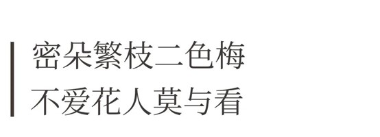 https://img10.artimg.net/public/beian/jpg/202607/f05595e0f09302f15d30683e2fc57270.jpg