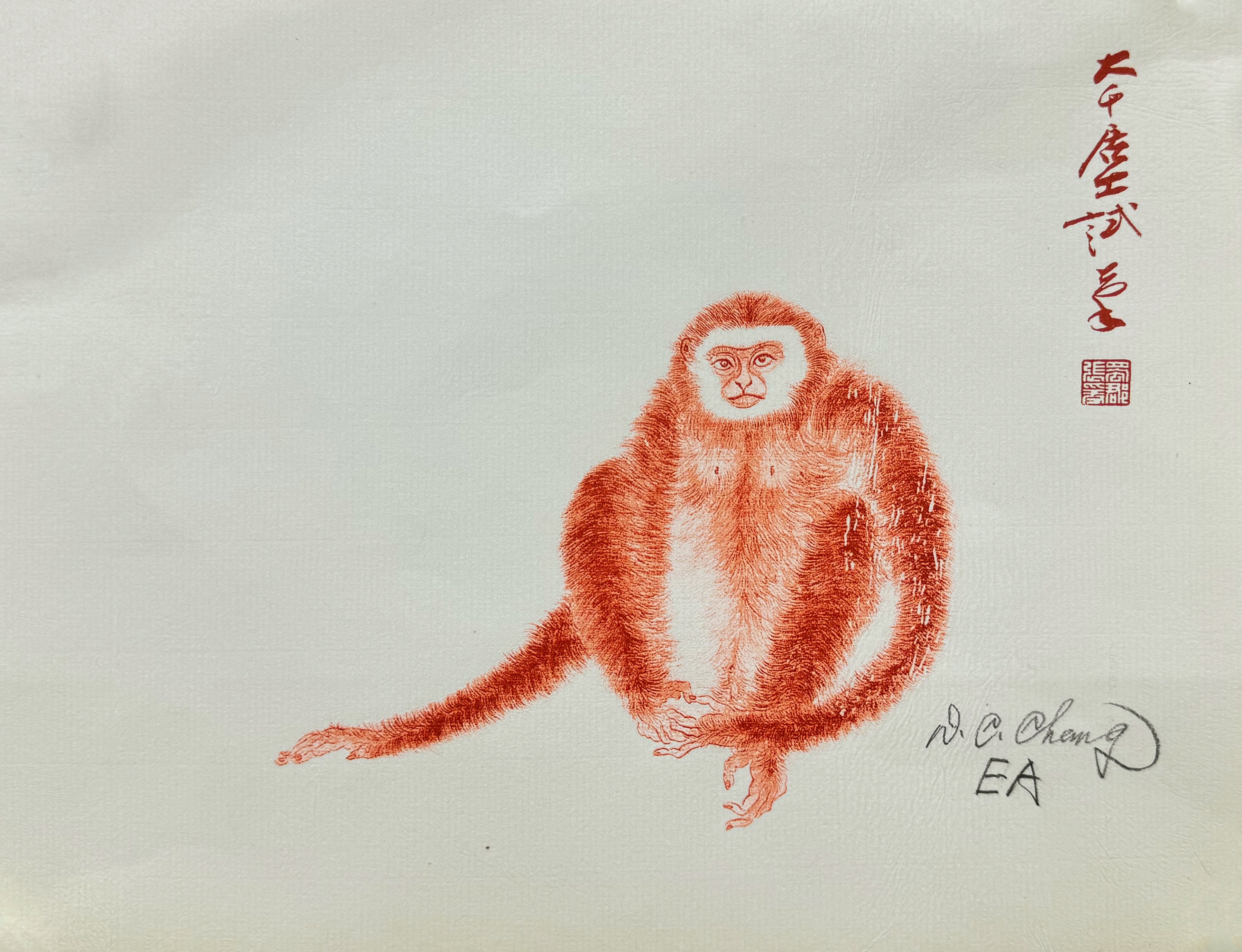 朱砂猿EA