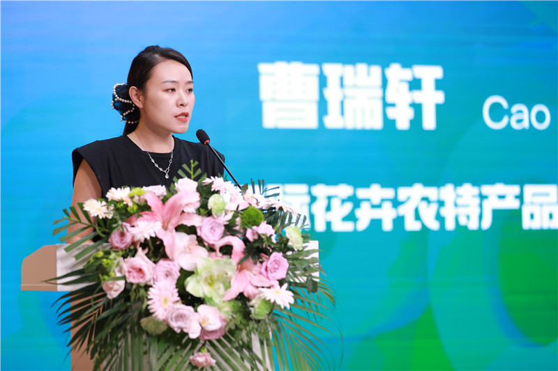 https://img10.artimg.net/public/beian/jpg/202609/47a9fa838a4fd875a1653e22aaa0453c.jpg