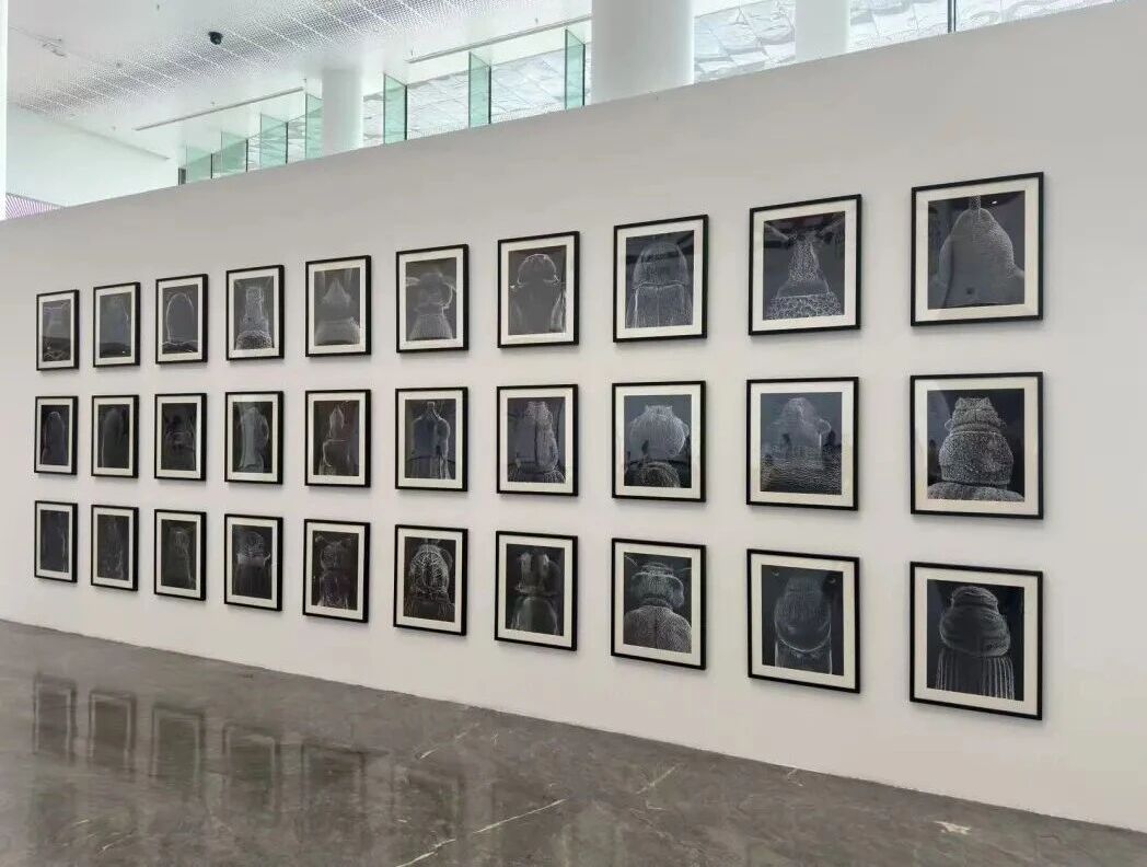https://img10.artimg.net/public/beian/jpg/202609/518c00ed74686ee1364d00908f9ac12a.jpg