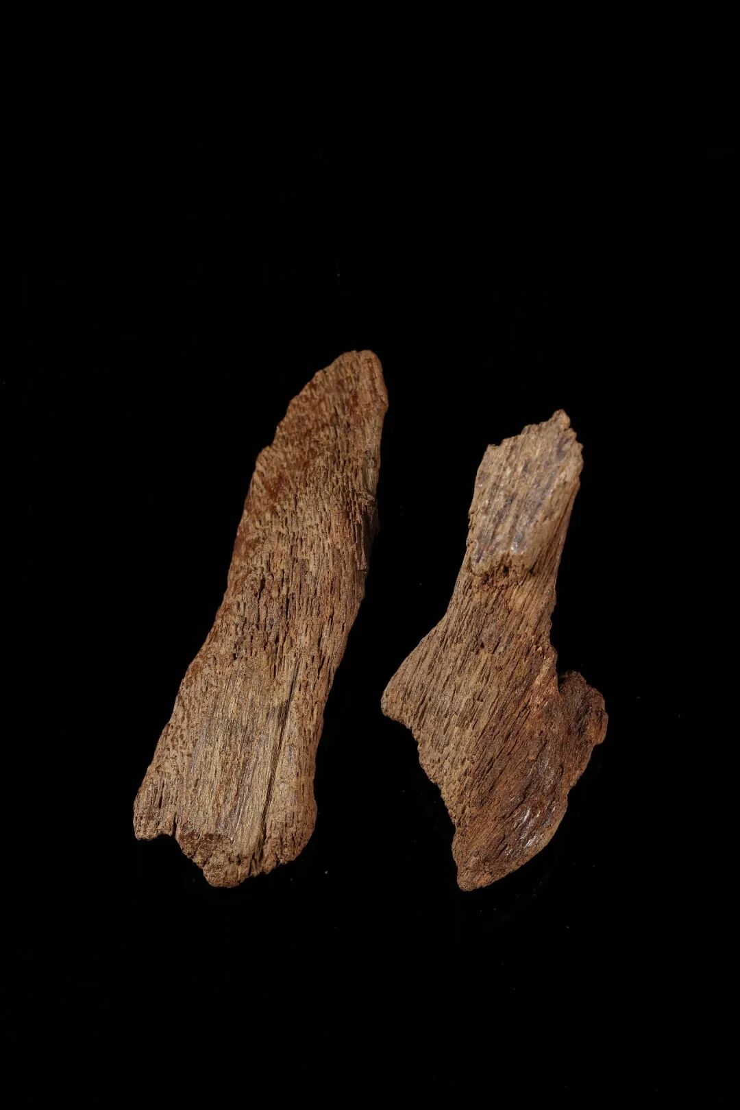 https://img10.artimg.net/public/beian/jpg/202609/d7df153cb7d06c8162dcf31daa8616b1.jpg