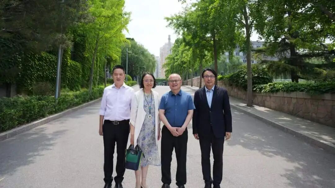 https://img10.artimg.net/public/beian/jpg/202609/db5d50a00e453214d7bcff772b273f89.jpg