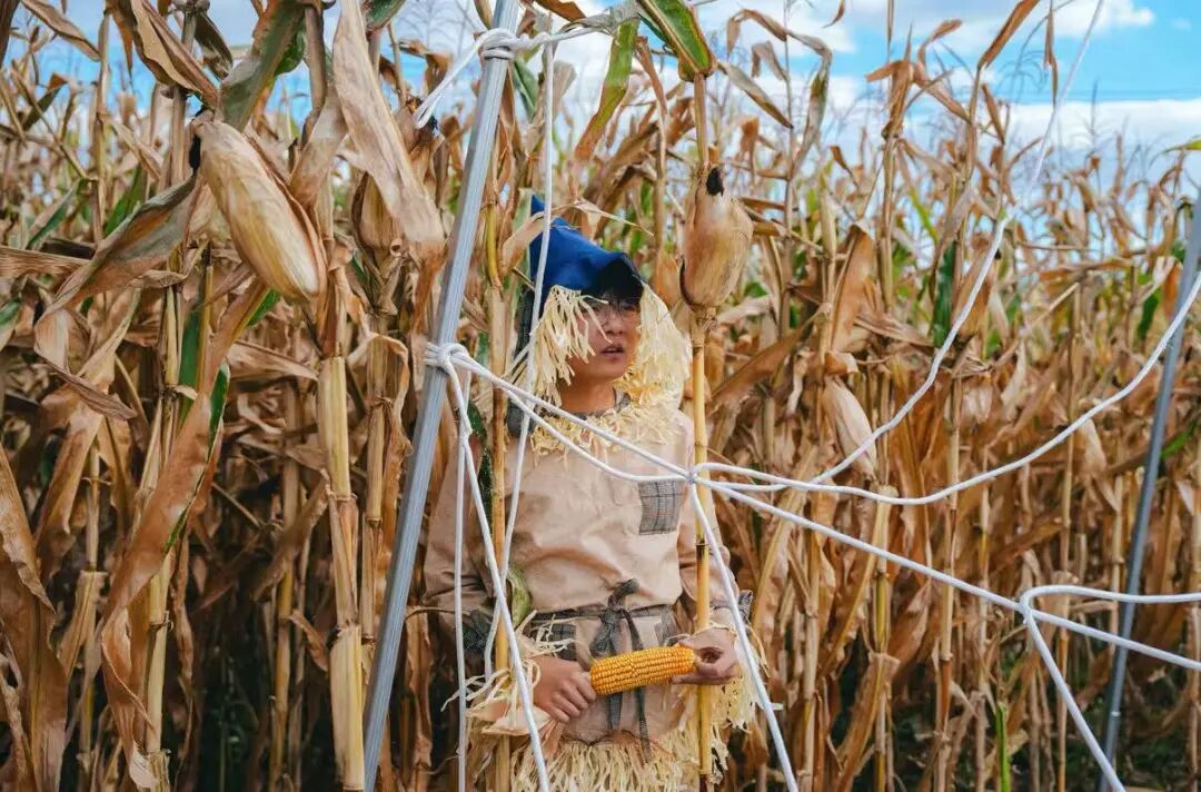 https://img10.artimg.net/public/beian/jpg/202610/2fd3ec99eda5f2c1e54845c7a8d8d7c4.jpg