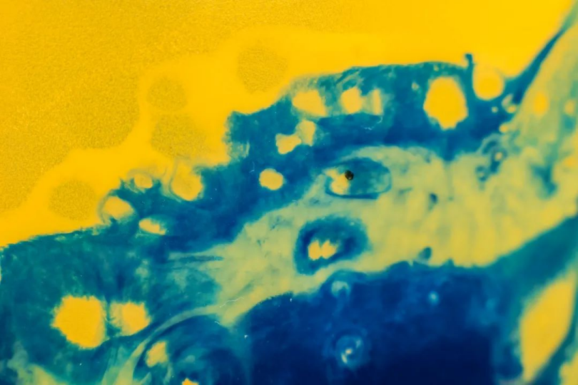 https://img10.artimg.net/public/beian/png/202401/280152b905475a7d7ba3c8bb7b6217d9.png