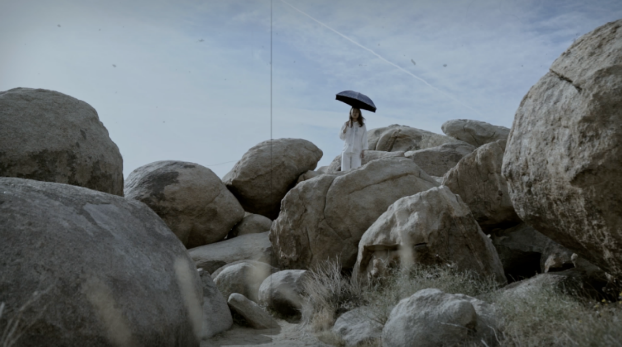 多媒介艺术中的生命探索艺术家毛雨的创作旅程