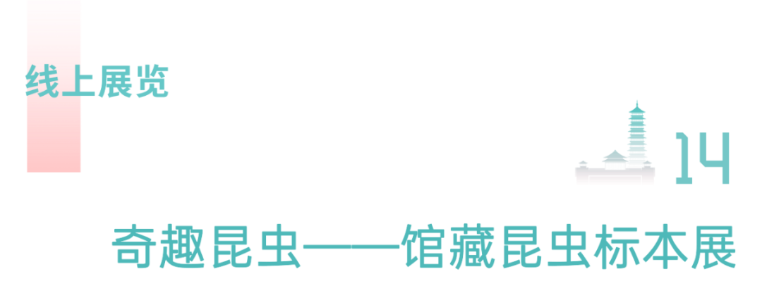 https://img10.artimg.net/public/beian/png/202501/395aaaf17fca4a7c6ce4c99a002cc6f5.png