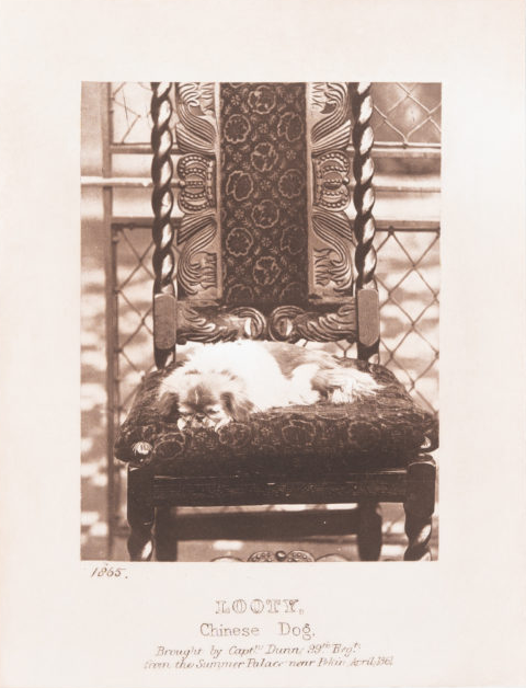 https://img10.artimg.net/public/beian/png/202505/07ec4a03967ffad08408509274530cc3.png