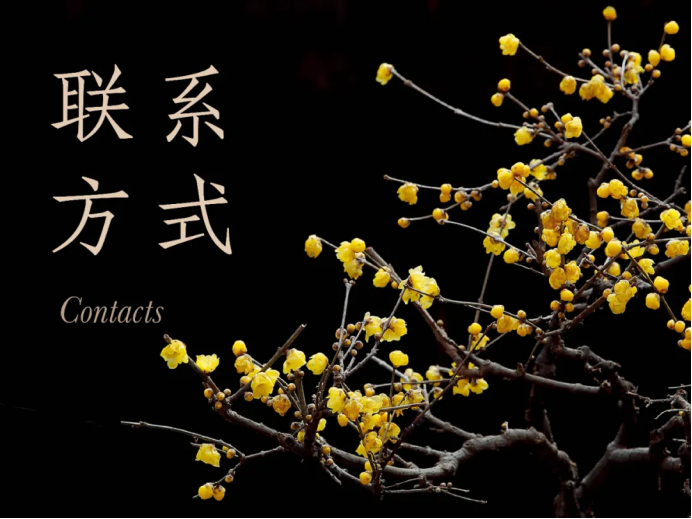 https://img10.artimg.net/public/beian/png/202505/4581344997f4a38a25c6e4323a4b795a.png