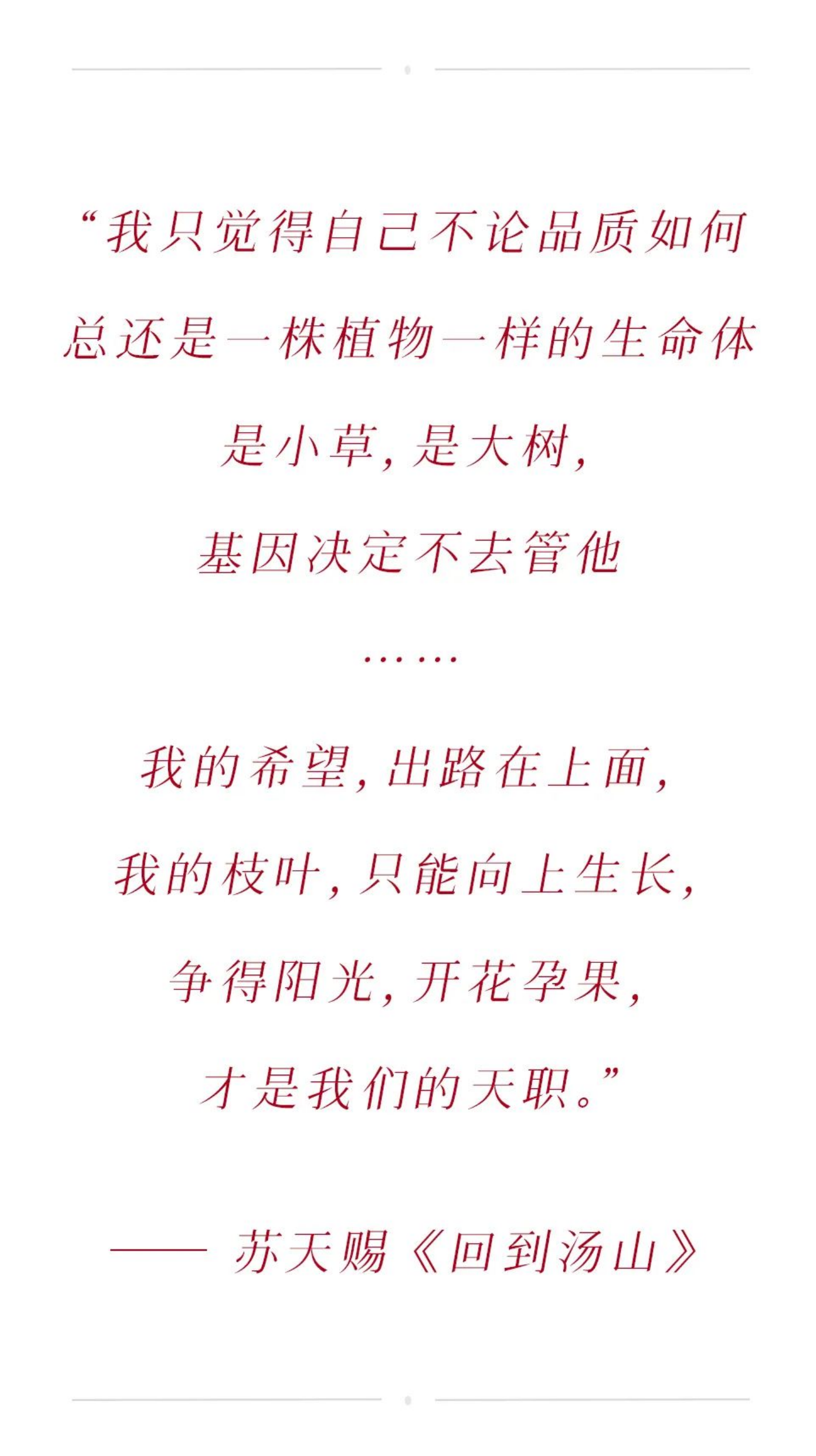 https://img10.artimg.net/public/beian/png/202507/f5fdbc3c8500d07a3de4f5d3574af22e.png