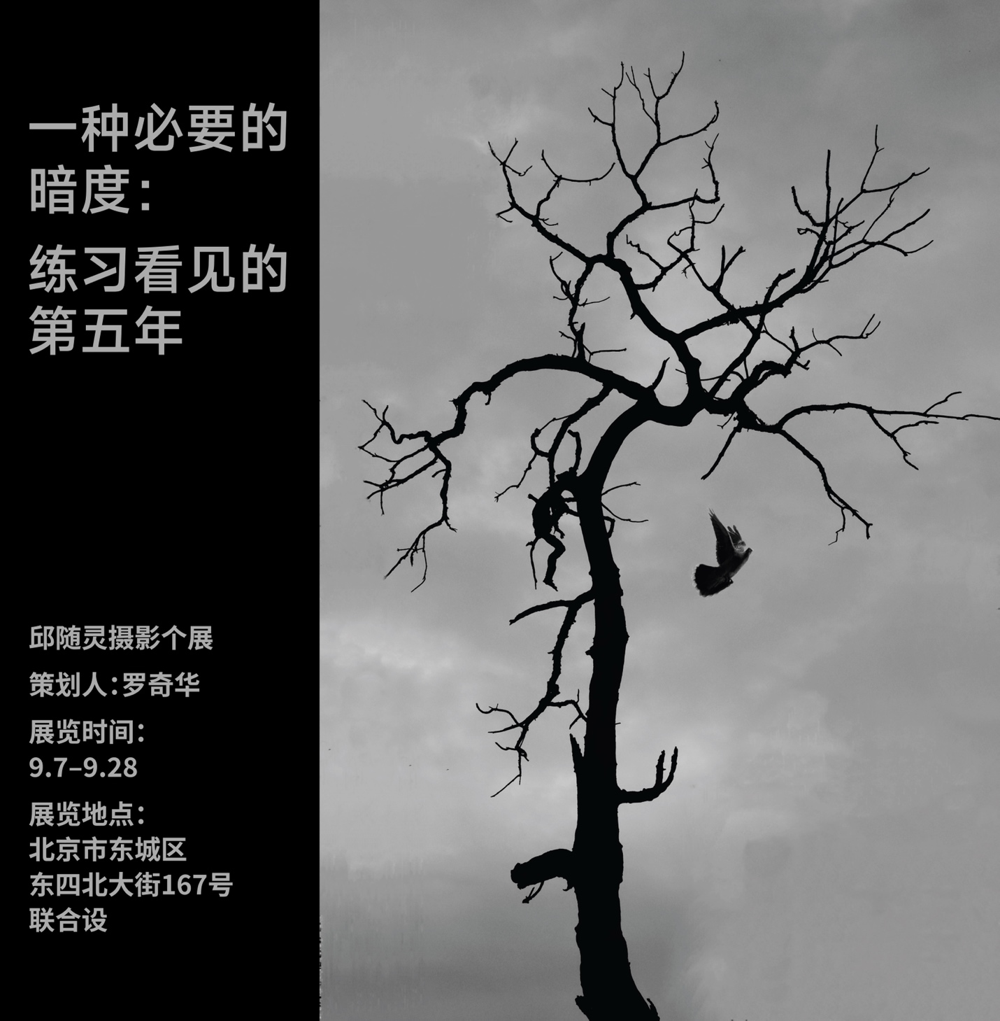 https://img10.artimg.net/public/beian/png/202509/b71607b71963b432e306a4294273c162.png
