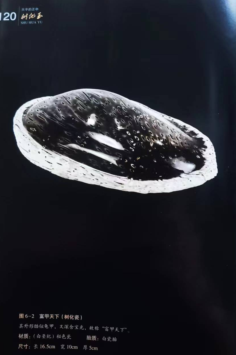 https://img10.artimg.net/public/beian/png/202604/e83c9f006109f4514de64373c696bc83.png