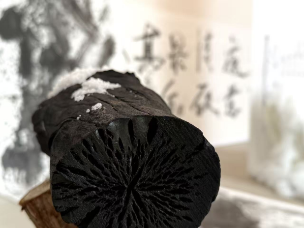 https://img10.artimg.net/public/beian/png/202605/7010c2149dfc13556b80c051f7afb5a3.png