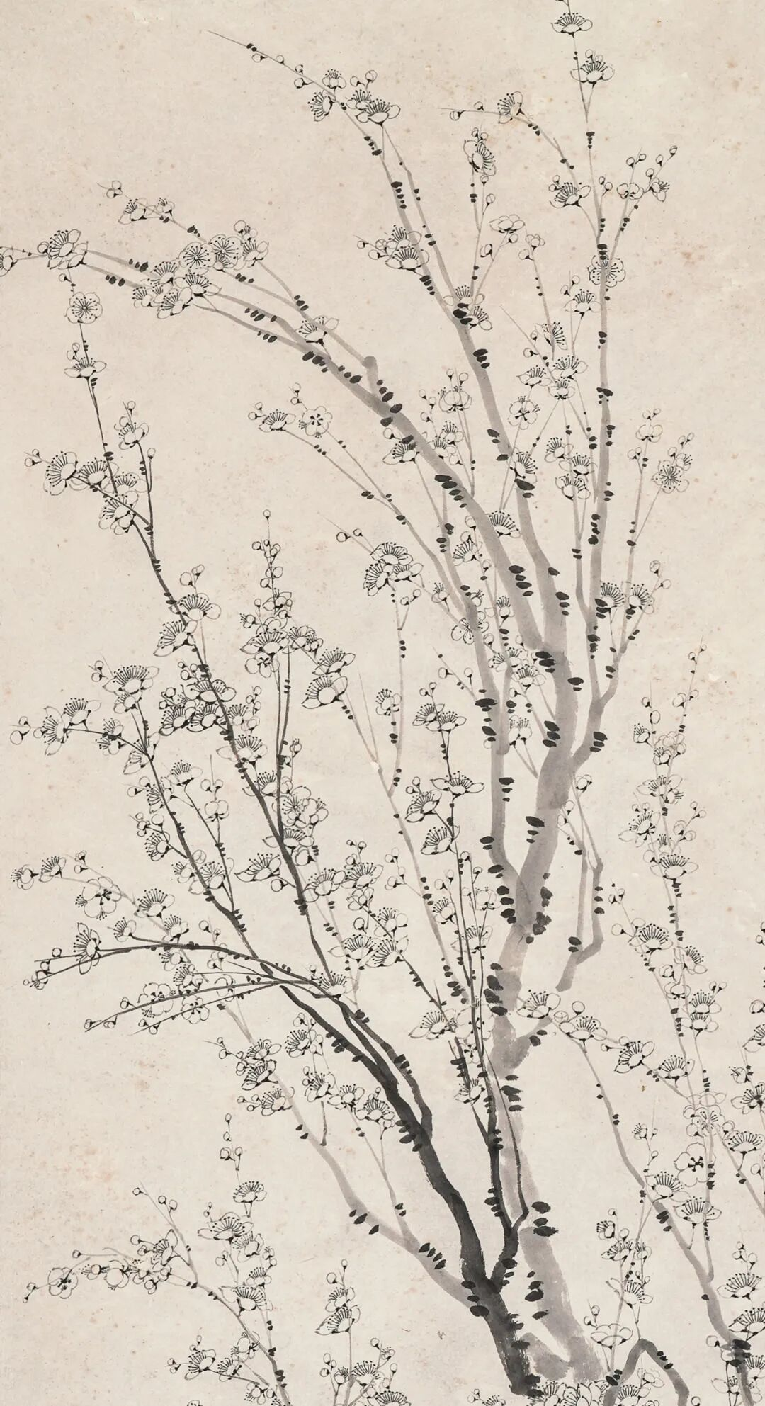 https://img10.artimg.net/public/beian/png/202605/bc0328321a589a913941f3820a73ceae.png