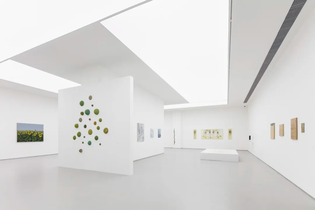 https://img10.artimg.net/public/beian/png/202608/a3f925140770b79ba1a523d843b657e8.png
