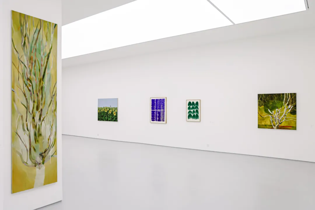 https://img10.artimg.net/public/beian/png/202608/a93b107d9faeaef9588b71580c6ffb97.png