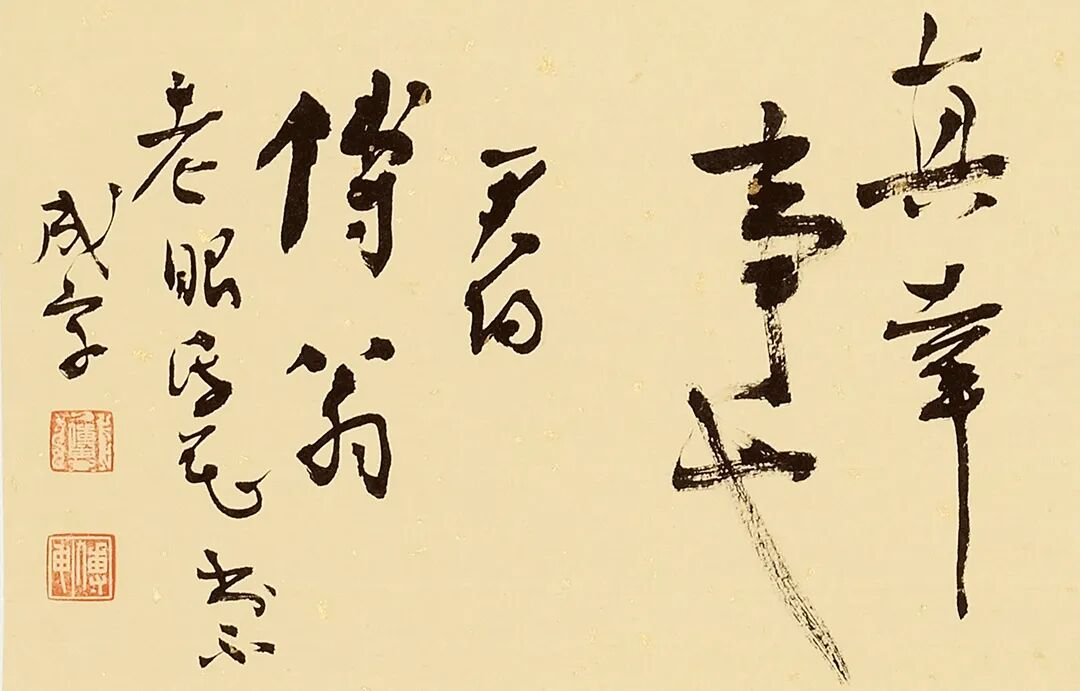 https://img10.artimg.net/public/beian/png/202609/299420131a8944d0a326cd6e0876551a.png