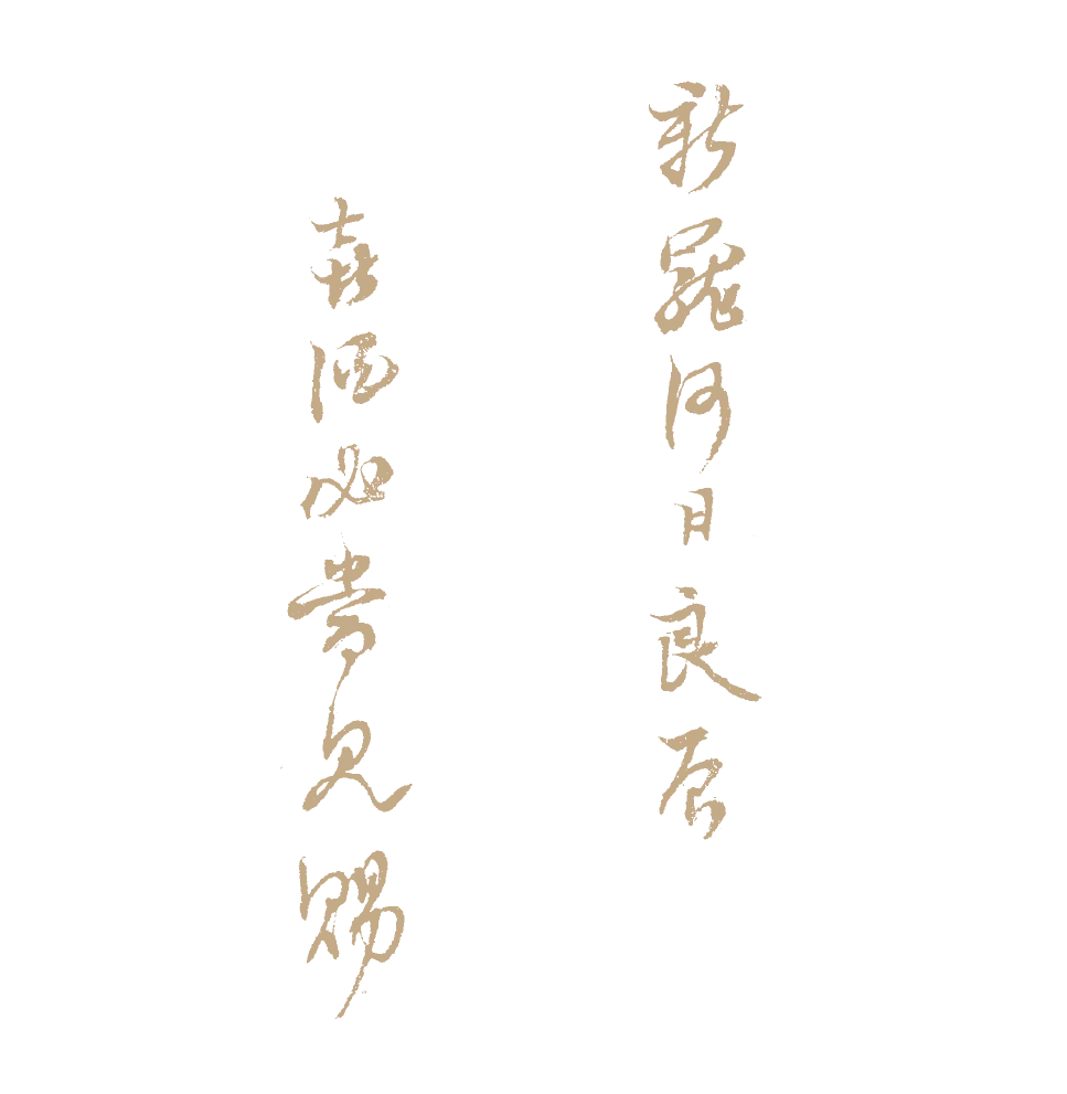 https://img10.artimg.net/public/beian/png/202610/5fcd4409b35e4cb50c0be3aead170935.png
