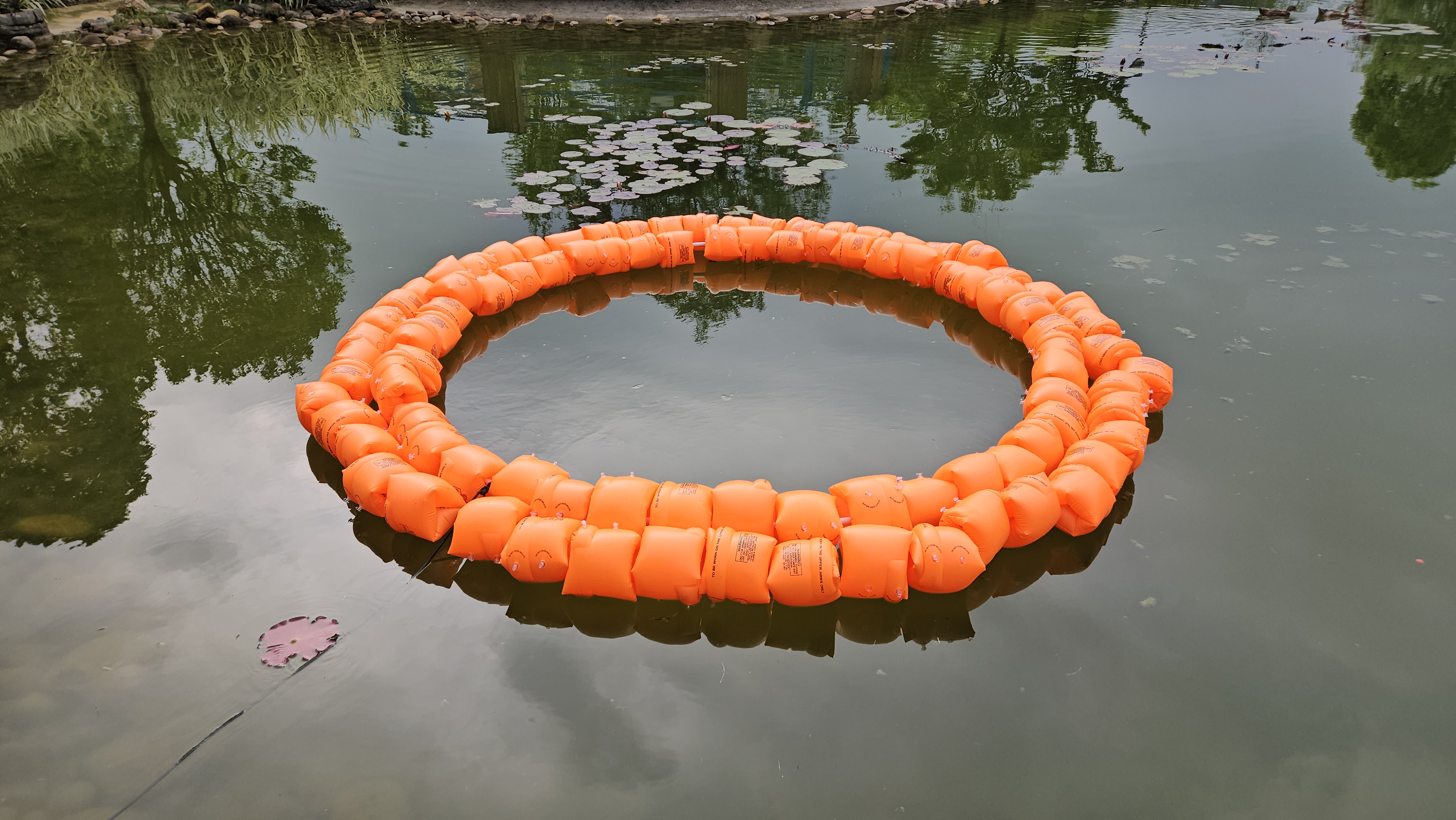 潮汐悖论：困在上岸时区的永恒泳者