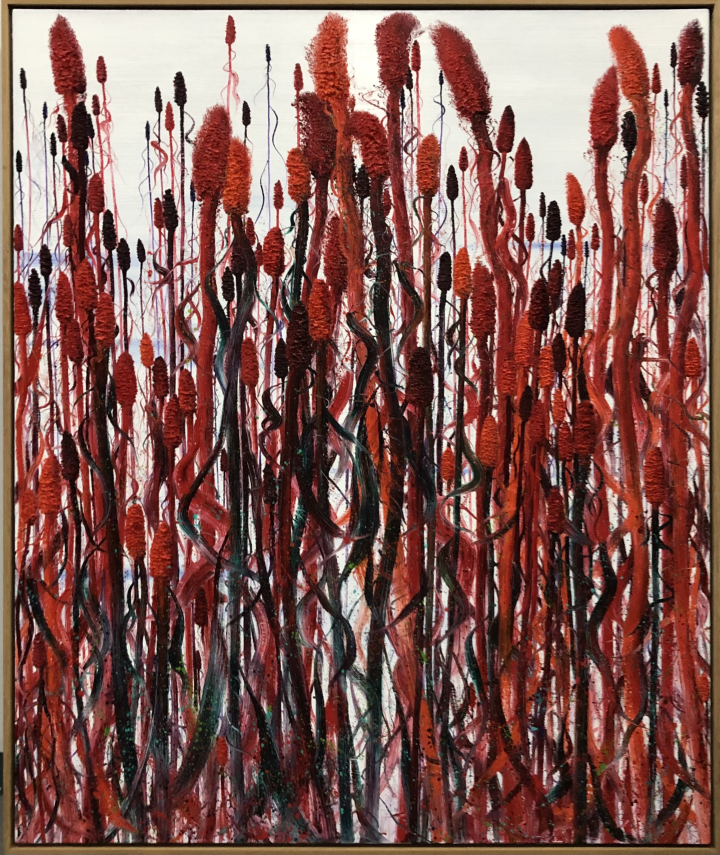 杜春辉红高粱作品